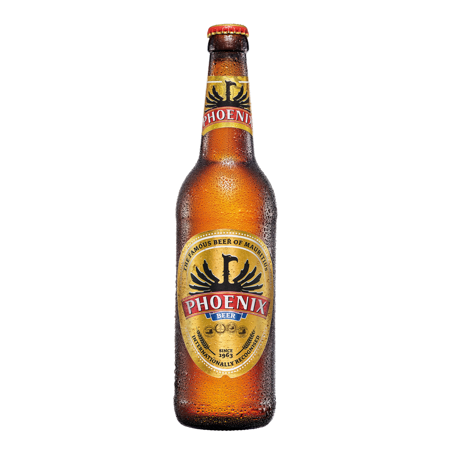 Phoenix Bouteille Verre 50cl x 12